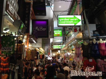 Кто такие тайки? Какие они?