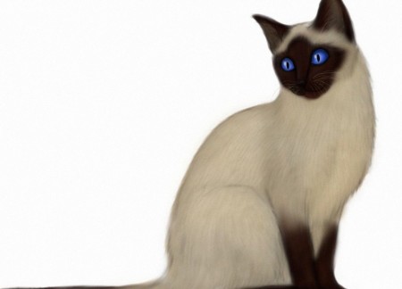 Про сиамских женщин Про сиамских женщин