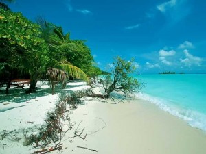Почему отдыхать лучше на Мальдивах