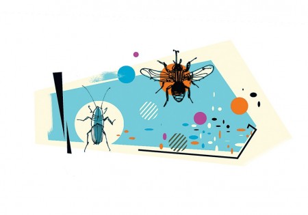 Прививки Прививки