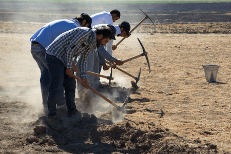 Отпуск в археологической экспедиции