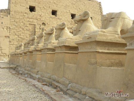 Фото дня: Сфинксы Карнакского храма, Луксор, Египет