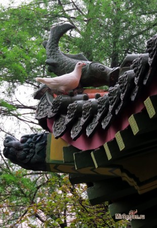 Сокровищница даосизма Чинг Чунг Кун Сокровищница даосизма Чинг Чунг Кун