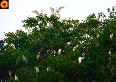 Что посмотреть на острове Бали