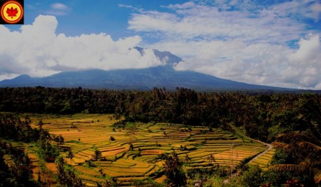 Что посмотреть на острове Бали