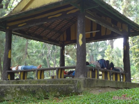 Ритмы жизни Хошимина