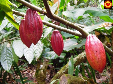 Что посмотреть на острове Бали