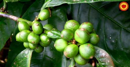 Что посмотреть на острове Бали