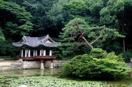 Подлунное путешествие по владениям корейских правителей Подлунное путешествие по владениям корейских правителей