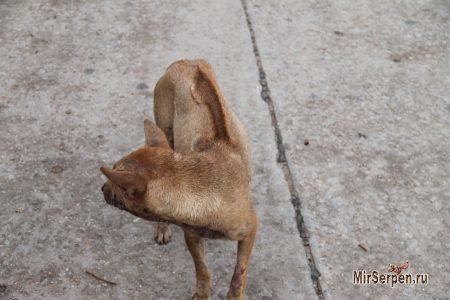 Нефритовый остров Фукуок