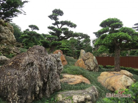 Сад Нан-Лиан: дыхание китайской культуры Сад Нан-Лиан: дыхание китайской культуры