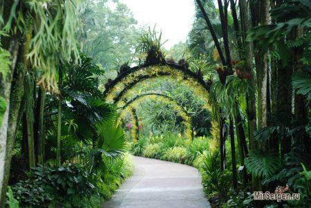 Сингапур - город ярких впечатлений