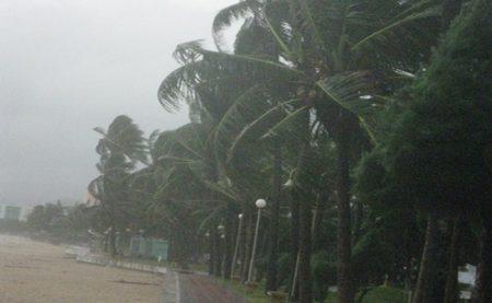 Информация о погоде и климате в Нячанге, Вьетнам