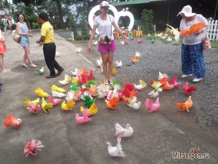 Самостоятельное путешествие на остров Самуи - август 2014