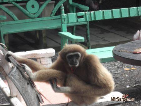 Самостоятельное путешествие на остров Самуи - август 2014