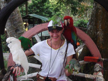 Paradise Park Farm на острове Самуи