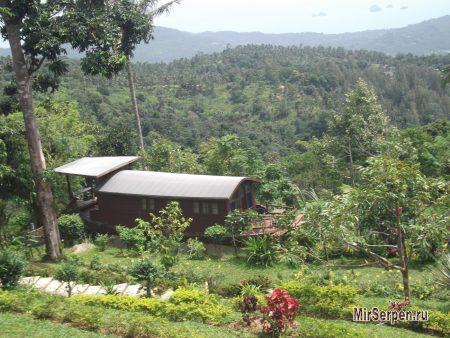 Paradise Park Farm на острове Самуи