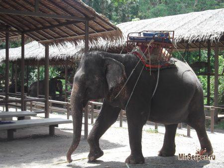 Самостоятельное путешествие на остров Самуи - август 2014
