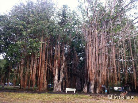 Остров Маврикий - жемчужина Индийского океана