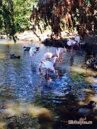 Остров Маврикий - жемчужина Индийского океана