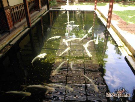 Отзыв об отеле "Botany Beach Resort 3*" в Паттайе, Таиланд