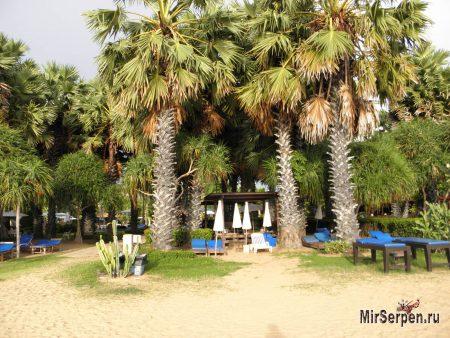 Отзыв об отеле "Botany Beach Resort 3*" в Паттайе, Таиланд