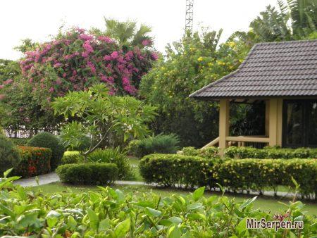 Отзыв об отеле "Botany Beach Resort 3*" в Паттайе, Таиланд