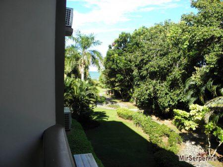 Отзыв об отеле "Botany Beach Resort 3*" в Паттайе, Таиланд