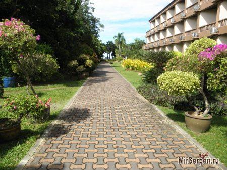 Отзыв об отеле "Botany Beach Resort 3*" в Паттайе, Таиланд