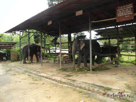 Отзыв об отдыхе на острове Ко Чанг, Таиланд, в мае 2015, часть 2 Отзыв об отдыхе на острове Ко Чанг, Таиланд, в мае 2015, часть 2