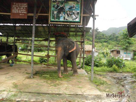 Отзыв об отдыхе на острове Ко Чанг, Таиланд, в мае 2015, часть 2 Отзыв об отдыхе на острове Ко Чанг, Таиланд, в мае 2015, часть 2