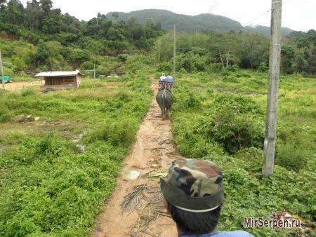 Отзыв об отдыхе на острове Ко Чанг, Таиланд, в мае 2015, часть 2 Отзыв об отдыхе на острове Ко Чанг, Таиланд, в мае 2015, часть 2