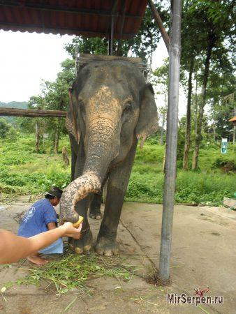 Отзыв об отдыхе на острове Ко Чанг, Таиланд, в мае 2015, часть 2 Отзыв об отдыхе на острове Ко Чанг, Таиланд, в мае 2015, часть 2