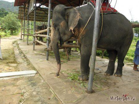 Отзыв об отдыхе на острове Ко Чанг, Таиланд, в мае 2015, часть 2 Отзыв об отдыхе на острове Ко Чанг, Таиланд, в мае 2015, часть 2