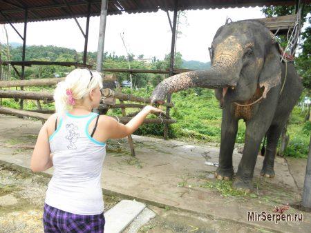 Отзыв об отдыхе на острове Ко Чанг, Таиланд, в мае 2015, часть 2 Отзыв об отдыхе на острове Ко Чанг, Таиланд, в мае 2015, часть 2