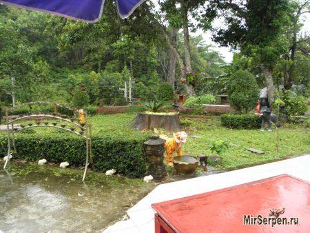 Отзыв об отдыхе на острове Ко Чанг, Таиланд, в мае 2015, часть 2 Отзыв об отдыхе на острове Ко Чанг, Таиланд, в мае 2015, часть 2