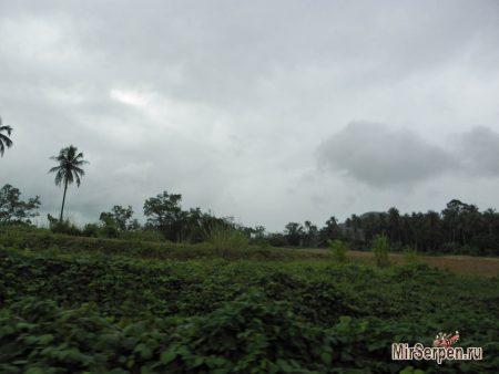 Отзыв об отдыхе на острове Ко Чанг, Таиланд, в мае 2015, часть 2 Отзыв об отдыхе на острове Ко Чанг, Таиланд, в мае 2015, часть 2