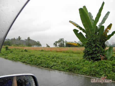Отзыв об отдыхе на острове Ко Чанг, Таиланд, в мае 2015, часть 2 Отзыв об отдыхе на острове Ко Чанг, Таиланд, в мае 2015, часть 2