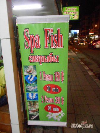 Рыба-спа - когда вас грызут за ваши деньги