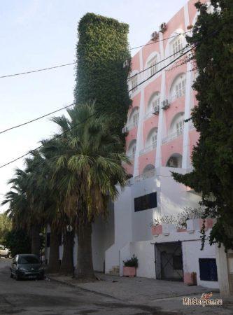 Побывав в арабской сказке - отзыв об отдыхе в Тунисе, май 2014