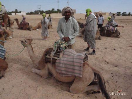 Побывав в арабской сказке - отзыв об отдыхе в Тунисе, май 2014