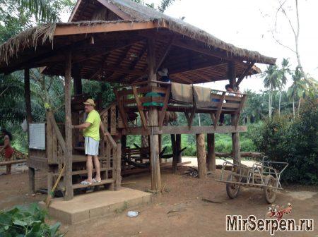 Катание на слонах - ожидания и реальность Катание на слонах - ожидания и реальность