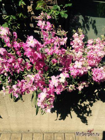 Andorra la Vella - столица княжества Андорра Andorra la Vella - столица княжества Андорра