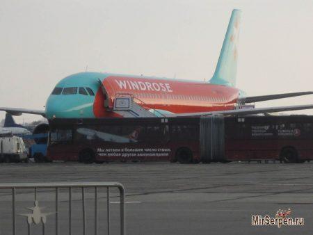 Отдых в Шарм-эш-Шейхе, Египет, ноябрь 2014