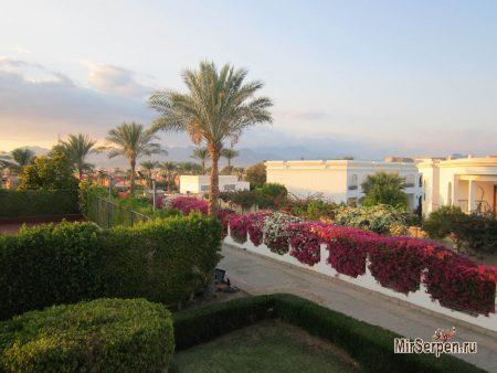 Отдых в Шарм-эш-Шейхе, Египет, ноябрь 2014