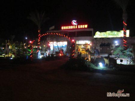 Отдых в Шарм-эш-Шейхе, Египет, ноябрь 2014