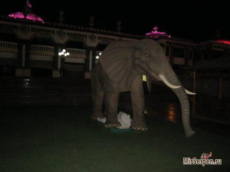 Отдых в Шарм-эш-Шейхе, Египет, ноябрь 2014