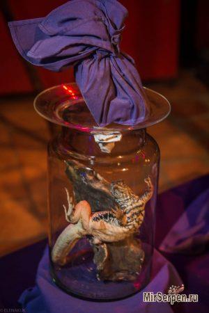 Кухня Вьетнама: кобры, скорпионы, шелкопряды, сверчки и прочая живность...