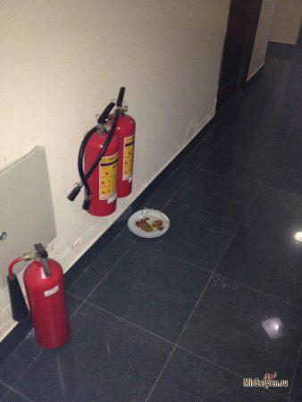 Описание отеля VietSky 2*, Нячанг, Вьетнам