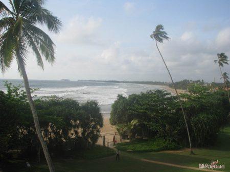 Топ-5 занятий во время отдыха на Шри-Ланке